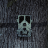 WILDCAMERAXL Camouflage fototrappola EZ45 WIFI
