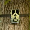 WILDCAMERAXL Camouflage fototrappola EZ45 WIFI